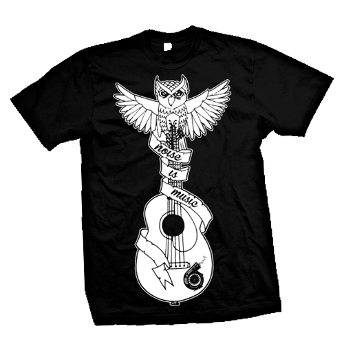 Owl on Guitar