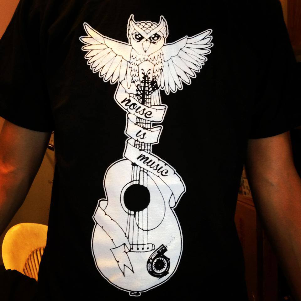 Owl on Guitar